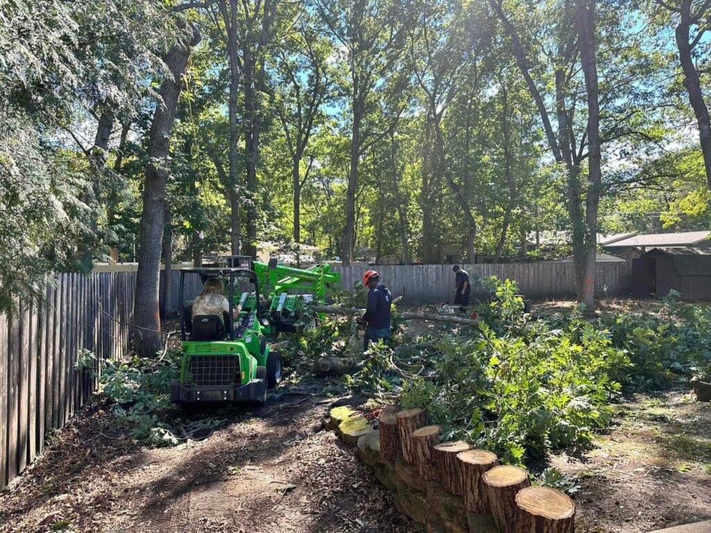 Tree site clearing in the Twin Cities