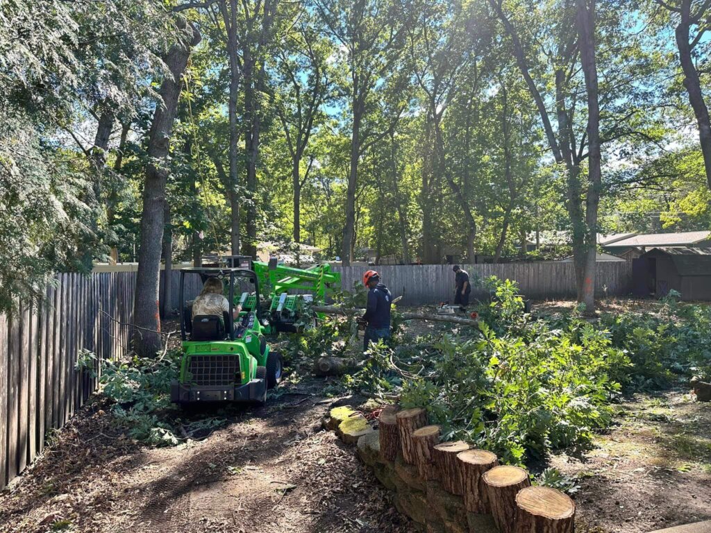 Tree Top Climbers working on tree removal in backyard garden