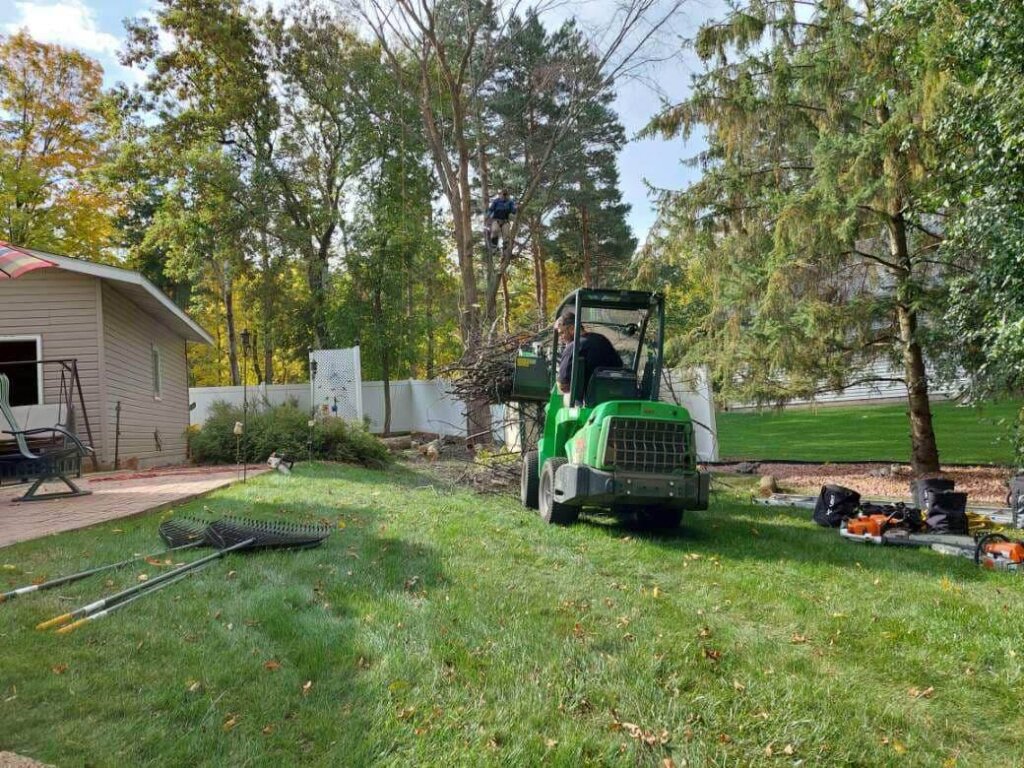 Tree Top Climbers working on tree removal in backyard