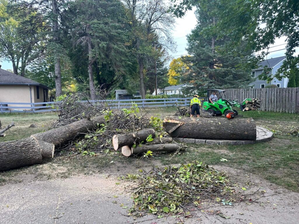 Tree Top Climbers employee cleaning debris from backyard