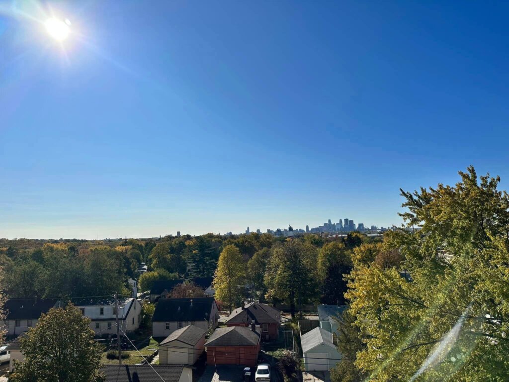 View from tree overlooking neighborhood skyline