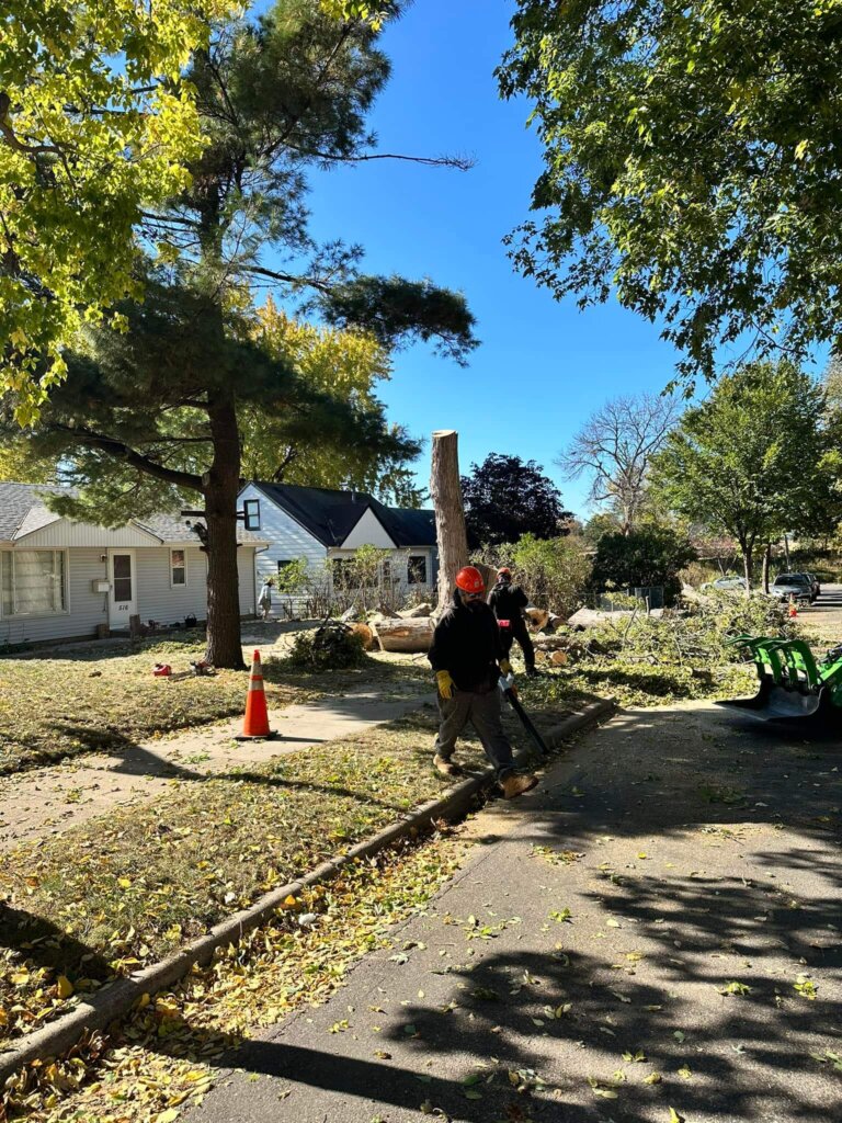 Tree Top Climbers employee cleaning debris from the street