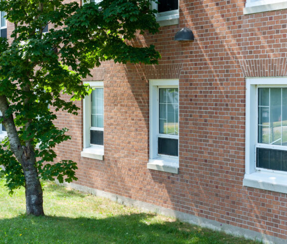 manicured tree beside residential building