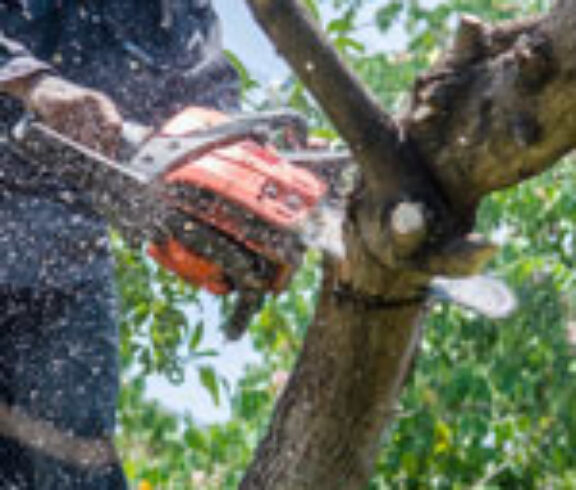 Man holding chainsaw cutting tree branch