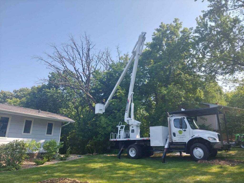 Bucket truck for tree work in Minneapolis
