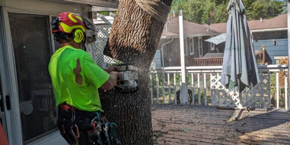 tree removal through deck