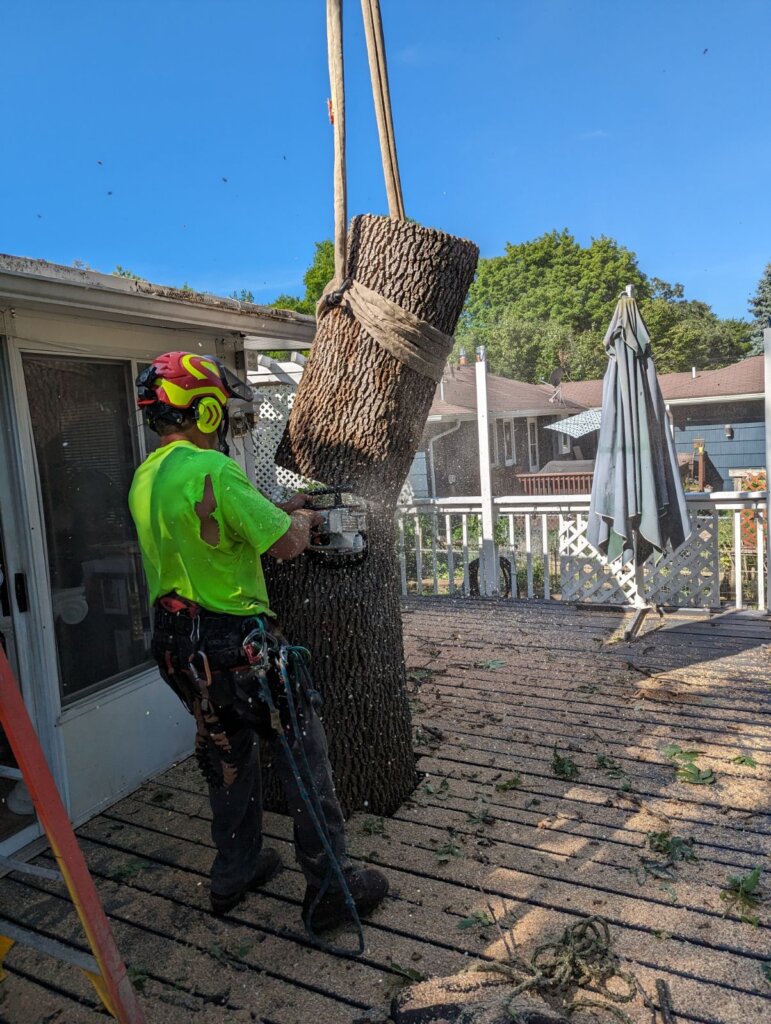 tree removal through deck